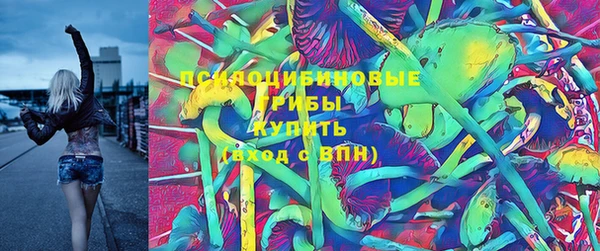apvp Балахна